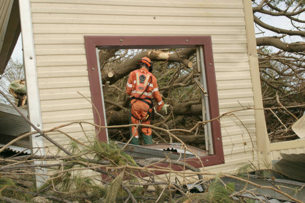 How Our Tree Care Process Works  in  Greenlawn, NY